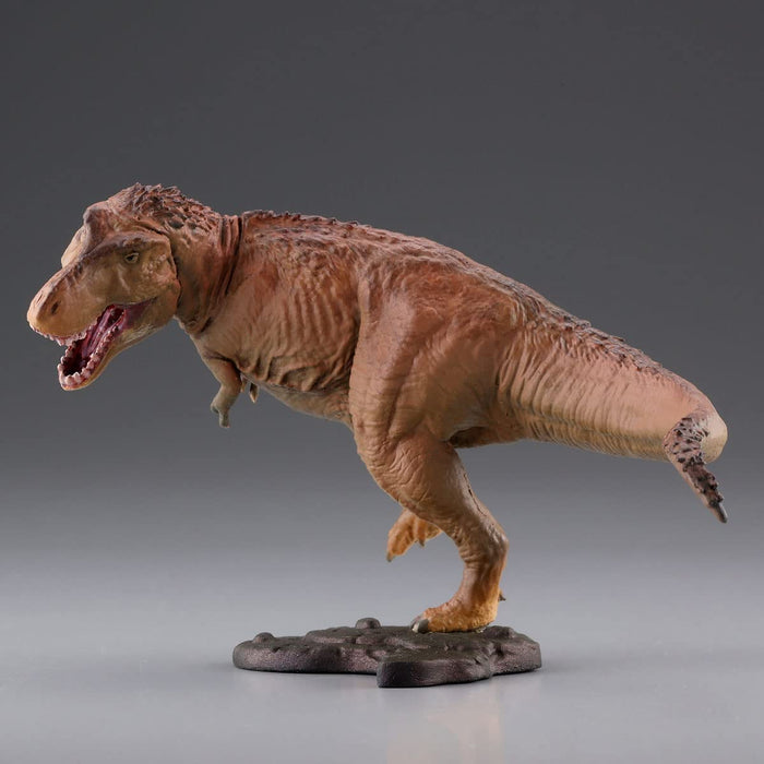 KAIYODO Miniq Miniature Cube Kyoryu Hakkutsuki 10 Saikyo Hunter Retsuden Cretaceous North America Version 1 Box 6 Pcs- Japan Figure Store - #1 Bring To You The Best Japanese Goods