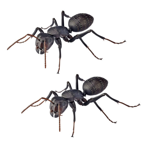 Kaiyodo Revo Geo Ant 115mm PVC ABS Figure- Japan Figure Store - #1 Bring To You The Best Japanese Goods