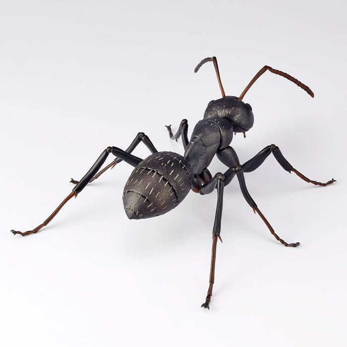Kaiyodo Revo Geo Ant 115mm PVC ABS Figure- Japan Figure Store - #1 Bring To You The Best Japanese Goods