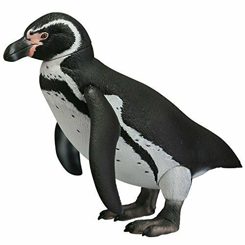 Kaiyodo Soft Vinyl Toy Box 011 Humboldt Penguin Figure- Japan Figure Store - #1 Bring To You The Best Japanese Goods