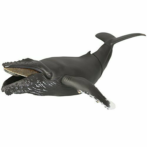 Kaiyodo Soft Vinyl Toy Box 013 Megaptera Novaeangliae Figure- Japan Figure Store - #1 Bring To You The Best Japanese Goods