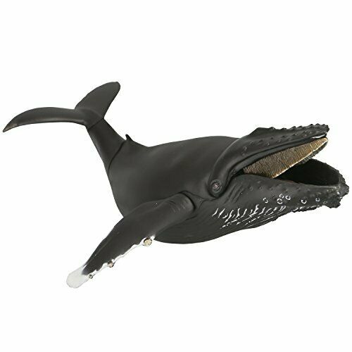 Kaiyodo Soft Vinyl Toy Box 013 Megaptera Novaeangliae Figure- Japan Figure Store - #1 Bring To You The Best Japanese Goods