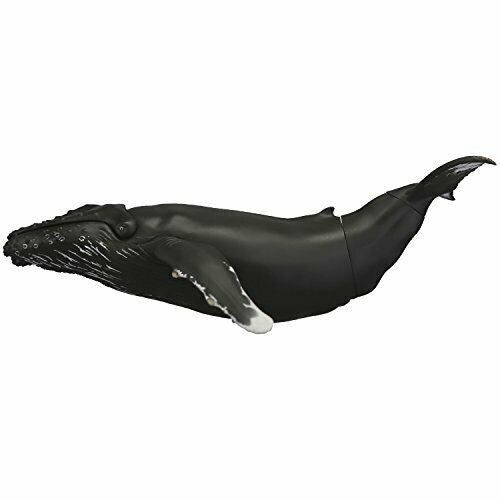 Kaiyodo Soft Vinyl Toy Box 013 Megaptera Novaeangliae Figure- Japan Figure Store - #1 Bring To You The Best Japanese Goods