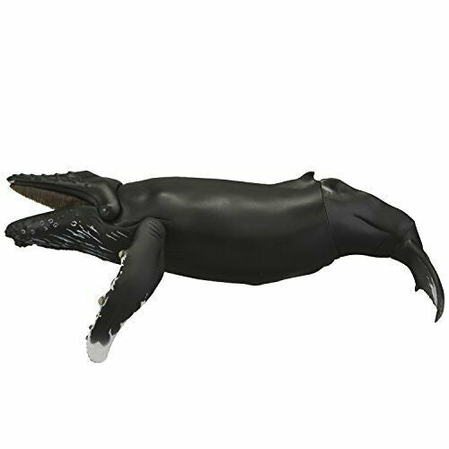 Kaiyodo Soft Vinyl Toy Box 013 Megaptera Novaeangliae Figure- Japan Figure Store - #1 Bring To You The Best Japanese Goods