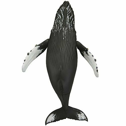 Kaiyodo Soft Vinyl Toy Box 013 Megaptera Novaeangliae Figure- Japan Figure Store - #1 Bring To You The Best Japanese Goods