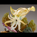 KAIYODO Strike Fantasy Sepioteuthis Lessoniana Figure- Japan Figure Store - #1 Bring To You The Best Japanese Goods