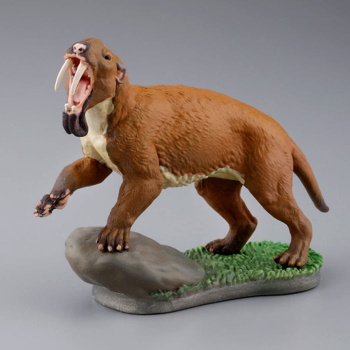 Kaiyodo Was Extinct For Some Reason. 3D Picture Book Pvc Painted Finished Product 6 Pieces Box Small Kdcc10B- Japan Figure Store - #1 Bring To You The Best Japanese Goods