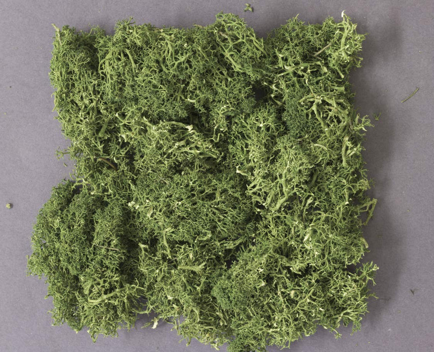 Kato Medium Green Natural Plant Diorama Supplies for Railway Models 24-333- Japan Figure Store - #1 Bring To You The Best Japanese Goods