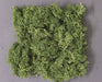 Kato Medium Green Natural Plant Diorama Supplies for Railway Models 24-333- Japan Figure Store - #1 Bring To You The Best Japanese Goods