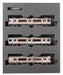 Kato N Gauge 313 Series Iida Line 3-Car Set 10-1287 Railway Model Train Kit- Japan Figure Store - #1 Bring To You The Best Japanese Goods