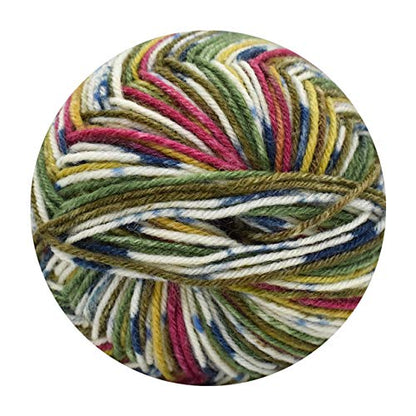 Opal Peace Socks Knitting Kit Set - Japan Wool (Kfs102) W/Needles (B) - Lollipop Green- Japan Figure Store - #1 Bring To You The Best Japanese Goods