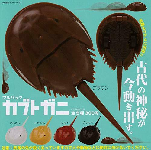 Kitan Club Pullback Horseshoe Crab Gashapon 5 Set Mini Figure Capsule Toys- Japan Figure Store - #1 Bring To You The Best Japanese Goods