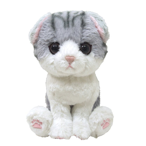 SUNLEMON Plush Doll Kitten Scottish Fold Gray Size S Tjn- Japan Figure Store - #1 Bring To You The Best Japanese Goods