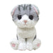 SUNLEMON Plush Doll Kitten Scottish Fold Gray Size S Tjn- Japan Figure Store - #1 Bring To You The Best Japanese Goods
