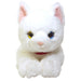 SUNLEMON Plush Doll Hiza Neko White Size M Tjn- Japan Figure Store - #1 Bring To You The Best Japanese Goods