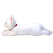 SUNLEMON Plush Doll Hiza Neko White Size M Tjn- Japan Figure Store - #1 Bring To You The Best Japanese Goods