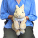 SUNLEMON Plush Doll Hiza Usagi Rabbit Beige Size M Tjn- Japan Figure Store - #1 Bring To You The Best Japanese Goods