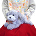 SUNLEMON Hiza Wanko Plush Doll Toy Poodle Gray Tjn- Japan Figure Store - #1 Bring To You The Best Japanese Goods