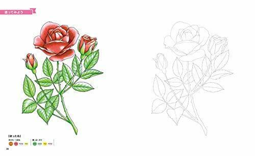 Learn How To Copic By Coloring Book Possible With Only 24 Colors!- Japan Figure Store - #1 Bring To You The Best Japanese Goods