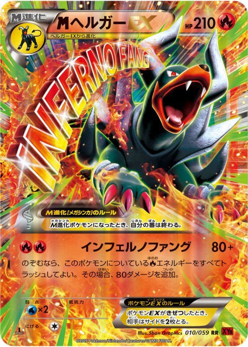 M Helger Ex - 010/059 [状態B]XY - RR - GOOD - Pokémon TCG Japanese Japan Figure 24157-RR010059BXY-GOOD