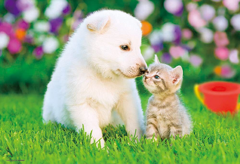 BEVERLY P33-198 Jigsaw Puzzle Puppy And Kitten Love 300 Pieces- Japan Figure Store - #1 Bring To You The Best Japanese Goods