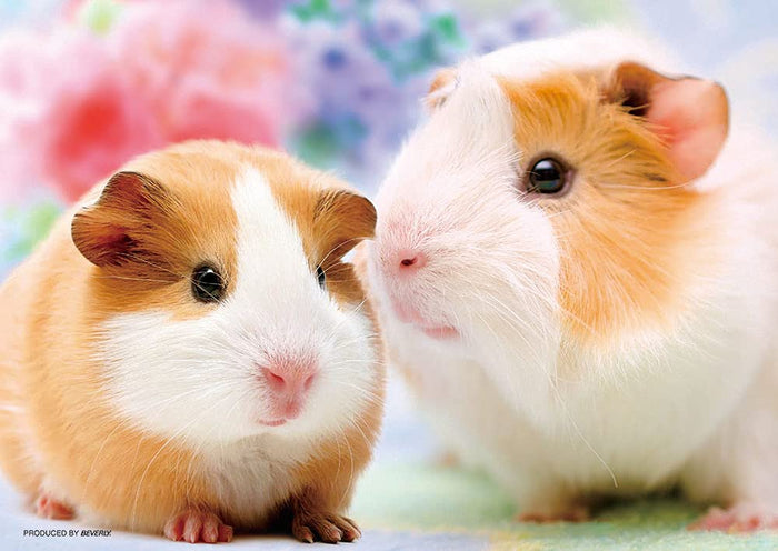 Beverly P88-036 Jigsaw Puzzle Guinea Pig Friends (88 Pieces) Animal Jigsaw Puzzles- Japan Figure Store - #1 Bring To You The Best Japanese Goods