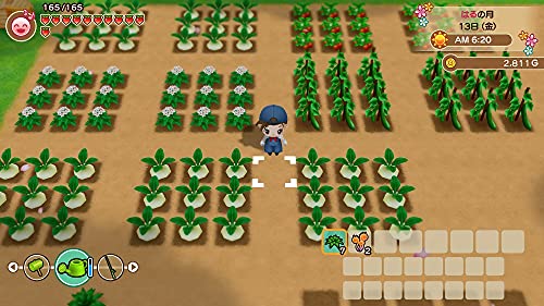 Marvelous Bokujou Monogatari Saikai Mineral Town For Sony Playstation Ps4 - New Japan Figure 4535506303295 2