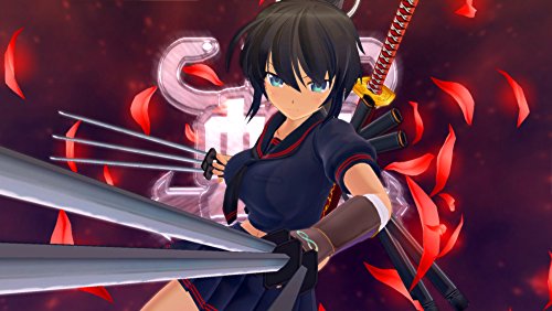 Marvelous Senran Kagura Burst Re:Newal Sony Ps4 Playstation 4 Used