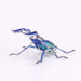 Mic Dream Stag Beetle Sapphire Painted Plastic Kit- Japan Figure Store - #1 Bring To You The Best Japanese Goods