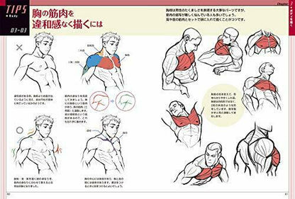 Miyuli's Illustration Improvement Tips Drawing For Character Illustration- Japan Figure Store - #1 Bring To You The Best Japanese Goods