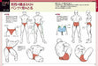 Miyuli's Illustration Improvement Tips Drawing For Character Illustration- Japan Figure Store - #1 Bring To You The Best Japanese Goods