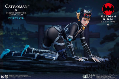 Star Ace Toys Catwoman Collectible Action Figure Japan Series 1/6- Japan Figure Store - #1 Bring To You The Best Japanese Goods