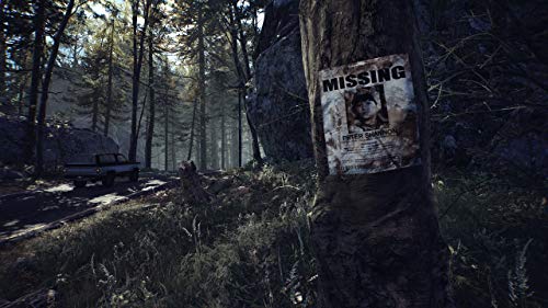 Na Publishing Blair Witch Playstation 4 Ps4 - New Japan Figure 4988635001073 1