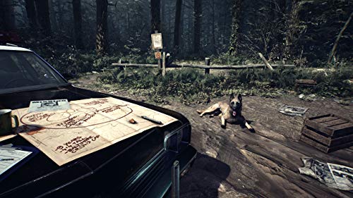 Na Publishing Blair Witch Playstation 4 Ps4 - New Japan Figure 4988635001073 4