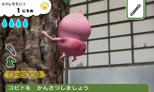 Nippon Columbia Kobitodsukan Kobito Kansatsu Set 3Ds Used