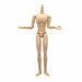 Obitsu Doll Body 27bd-m03n Male Slim Style Model Natural Skin 27cm- Japan Figure Store - #1 Bring To You The Best Japanese Goods