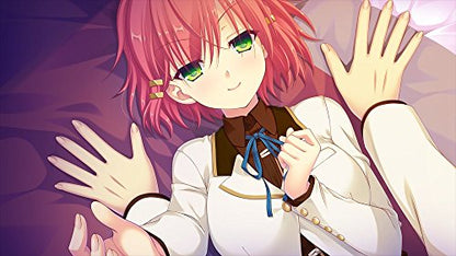 Piacci Amenity'S Life Ps Vita Sony Playstation New