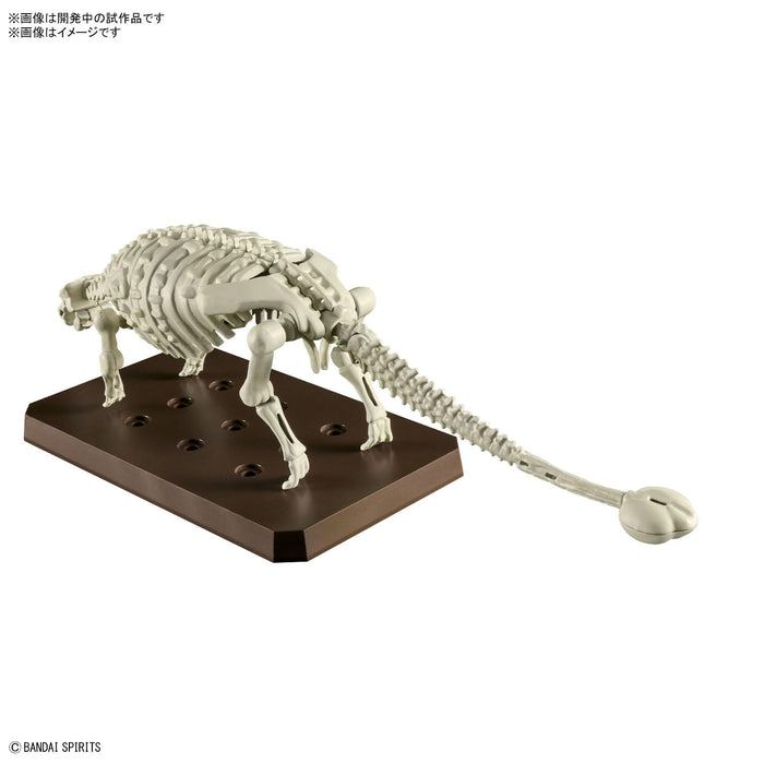 Bandai Spirits Planosaurus Ankylosaurus Model- Japan Figure Store - #1 Bring To You The Best Japanese Goods