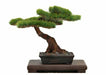 Platts 1/12 The Bonsai Vol.2 Plastic Bon-02- Japan Figure Store - #1 Bring To You The Best Japanese Goods