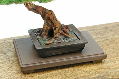 Platts 1/12 The Bonsai Vol.2 Plastic Bon-02- Japan Figure Store - #1 Bring To You The Best Japanese Goods