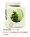 PLATZ Bonn04 The Bonsai Kobanbachi Planting Light Blue 1/12 Scale Finished Model- Japan Figure Store - #1 Bring To You The Best Japanese Goods