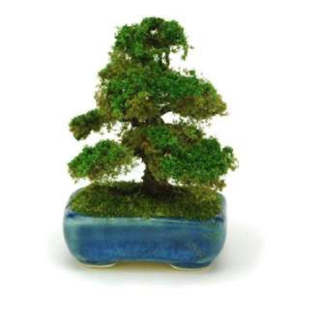 PLATZ Bont04 The Bonsai Kakubachi Cedar Navy Blue 1/12 Scale Finished Model- Japan Figure Store - #1 Bring To You The Best Japanese Goods