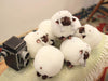 SAN-EI Pokemon All Star Collection Wooloo Plush Toy S- Japan Figure Store - #1 Bring To You The Best Japanese Goods
