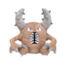 Pokemon Center Original Plush Pokémon Fit Kairos Japan Figure 4521329245812