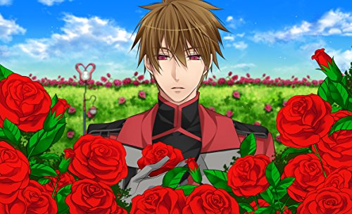 Quinrose Shinsouban Heart No Kuni No Alice Psvita - Used Japan Figure 4560231121784 1