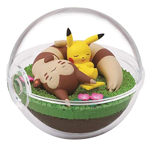 RE-MENT Pokemon Terrarium Collection 8 6 Pcs Box- Japan Figure Store - #1 Bring To You The Best Japanese Goods