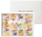Saika No Gem Japan Fruit Jelly Collection 1 Box (44 Pieces 15 Types)- Japan Figure Store - #1 Bring To You The Best Japanese Goods