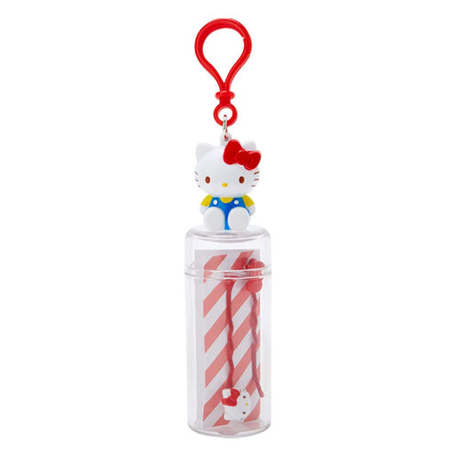 SANRIO Hairpin Set With Case Hello Kitty- Japan Figure Store - #1 Bring To You The Best Japanese Goods