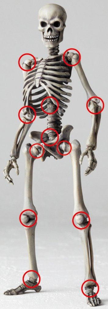 KAIYODO Sci-Fi Revoltech 020 Skeleton Army Version2 Figure- Japan Figure Store - #1 Bring To You The Best Japanese Goods