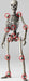 KAIYODO Sci-Fi Revoltech 020 Skeleton Army Version2 Figure- Japan Figure Store - #1 Bring To You The Best Japanese Goods